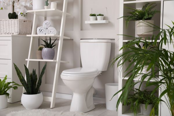 Cost of Toilet Repair in Upper Marlboro