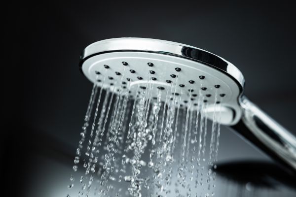 Cost of Shower Head Replacement in Upper Marlboro